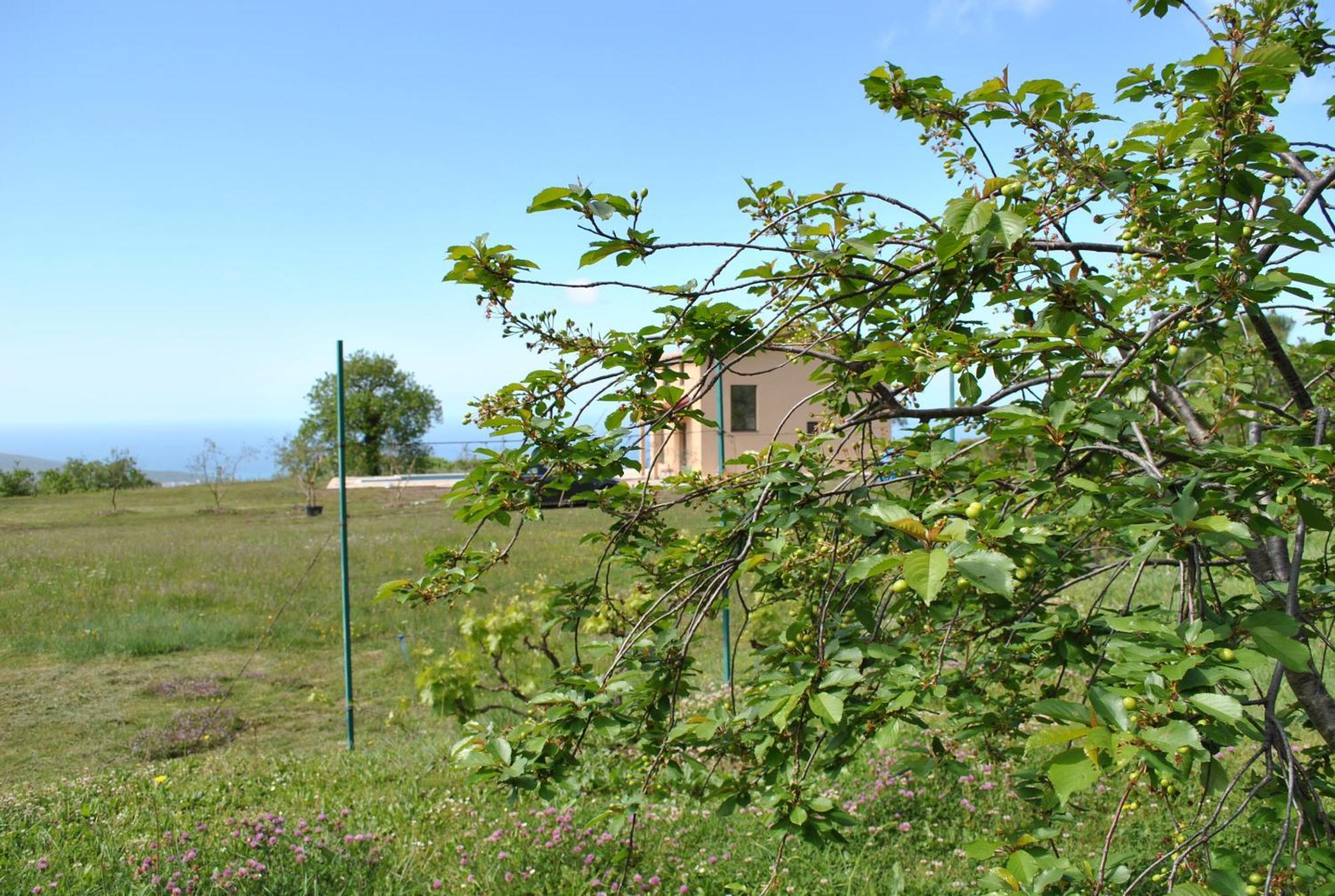 Country Home Dolac Bar Bagian luar foto