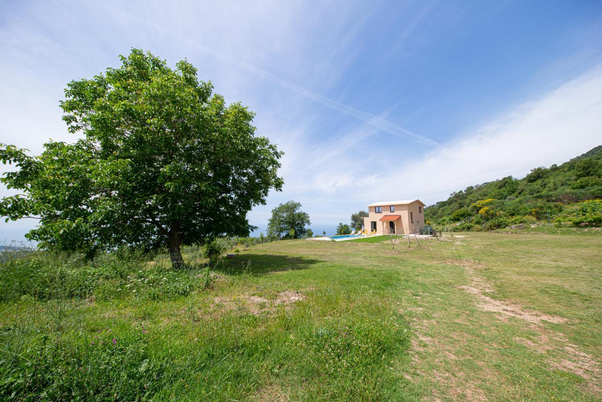 Country Home Dolac Bar Bagian luar foto